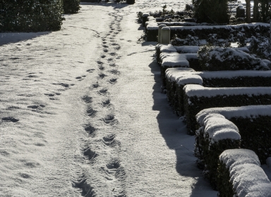 Fodspor i sne på kirkegård