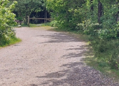 Billede af O-løb i Skive Plantage.