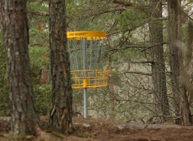 Billede af discgolf bane. Kilde: Unsplash, Ted Johnsson