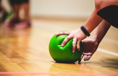 En grøn høvdingebold