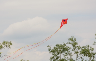 Drage flyver på himlen 
