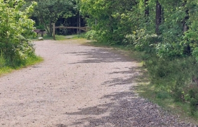 Billede af O-løb i Skive Plantage.
