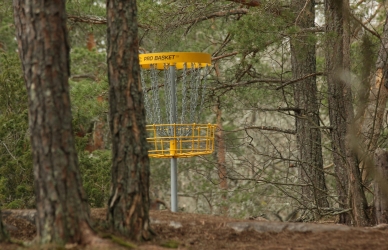 Billede af discgolf bane. Kilde: Unsplash, Ted Johnsson