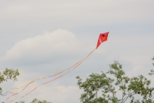 Drage flyver på himlen